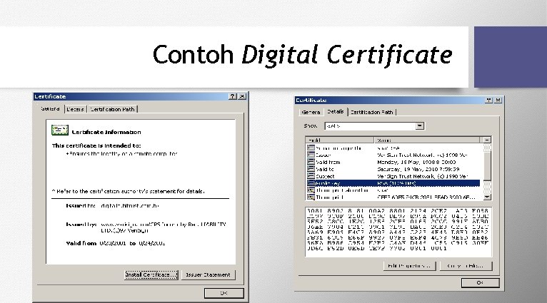 Contoh Digital Certificate 
