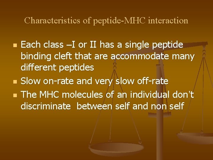 Characteristics of peptide-MHC interaction n Each class –I or II has a single peptide