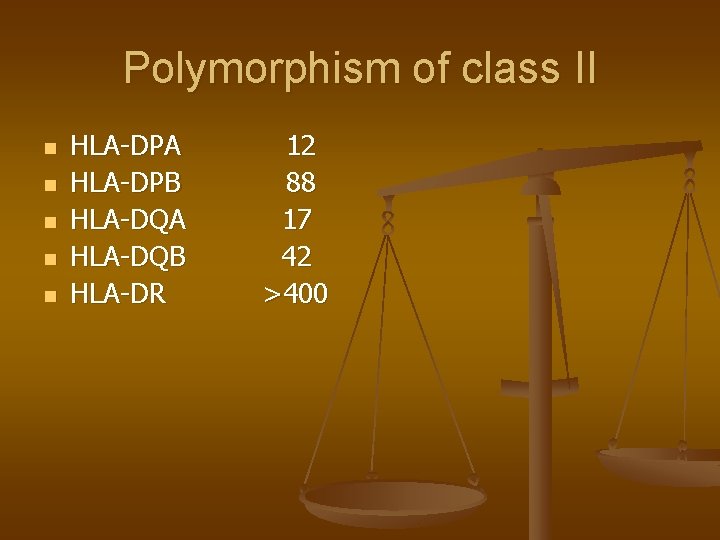 Polymorphism of class II n n n HLA-DPA HLA-DPB HLA-DQA HLA-DQB HLA-DR 12 88