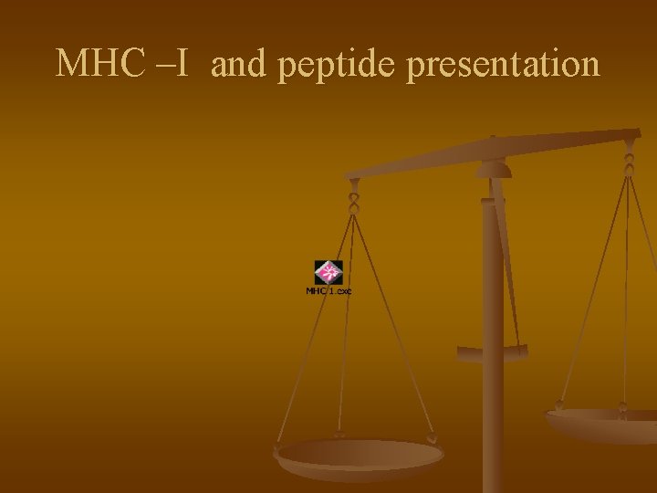 MHC –I and peptide presentation 