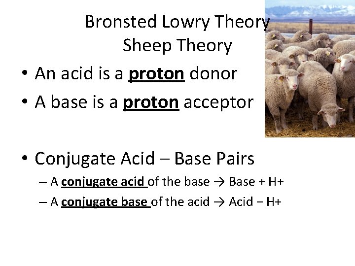 Bronsted Lowry Theory Sheep Theory • An acid is a proton donor • A