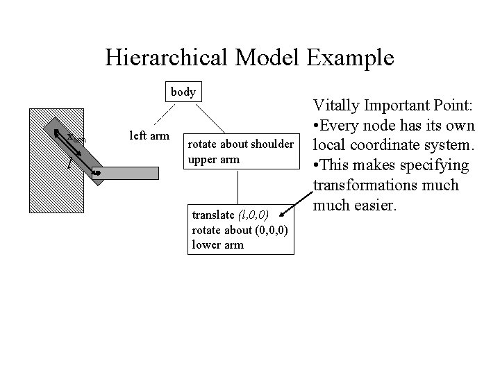Hierarchical Model Example body xarm l left arm rotate about shoulder upper arm translate