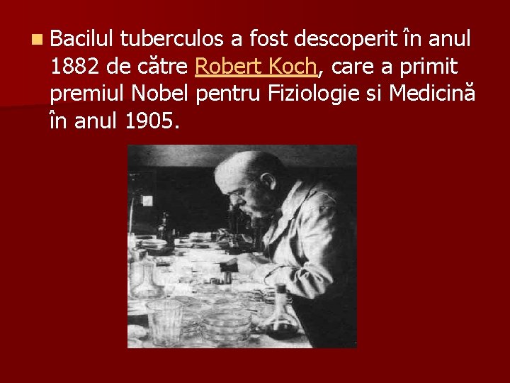 n Bacilul tuberculos a fost descoperit în anul 1882 de către Robert Koch, care