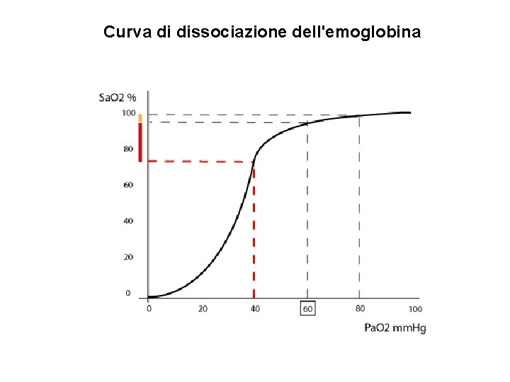 Curva di dissociazione dell'emoglobina 