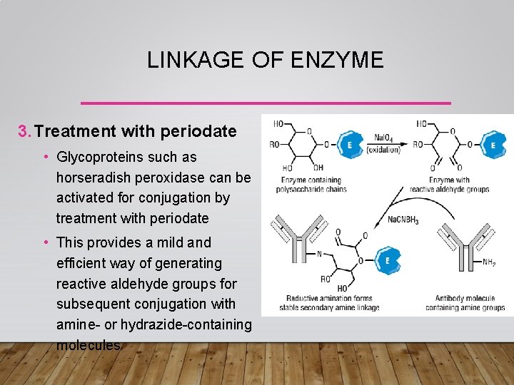 LINKAGE OF ENZYME 3. Treatment with periodate • Glycoproteins such as horseradish peroxidase can