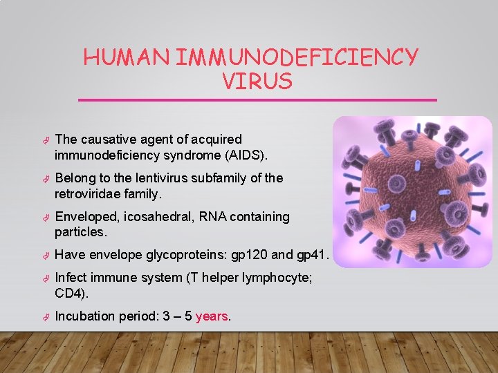 HUMAN IMMUNODEFICIENCY VIRUS The causative agent of acquired immunodeficiency syndrome (AIDS). Belong to the