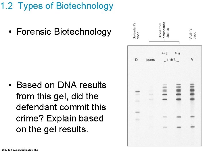 1. 2 Types of Biotechnology • Forensic Biotechnology • Based on DNA results from