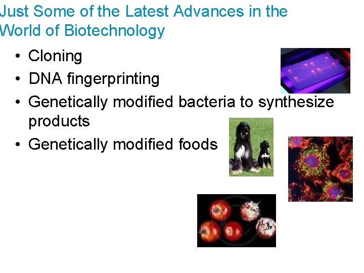 Just Some of the Latest Advances in the World of Biotechnology • Cloning •