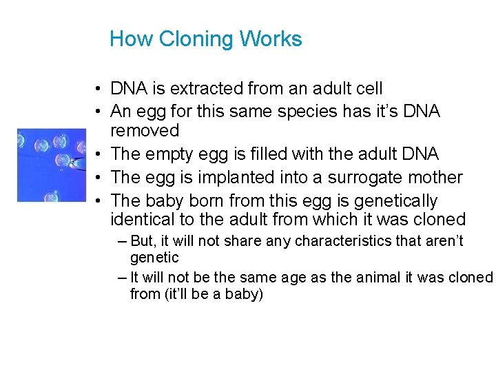 How Cloning Works • DNA is extracted from an adult cell • An egg