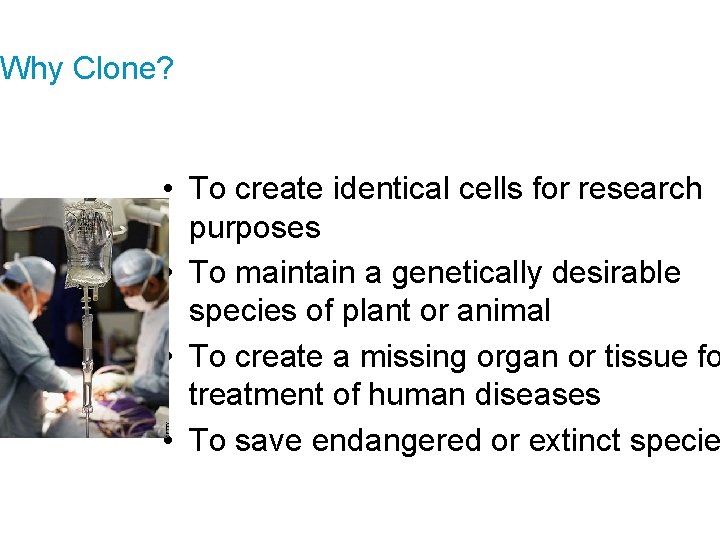 Why Clone? • To create identical cells for research purposes • To maintain a