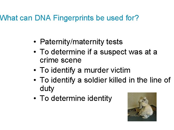What can DNA Fingerprints be used for? • Paternity/maternity tests • To determine if