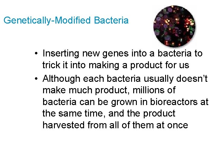 Genetically-Modified Bacteria • Inserting new genes into a bacteria to trick it into making