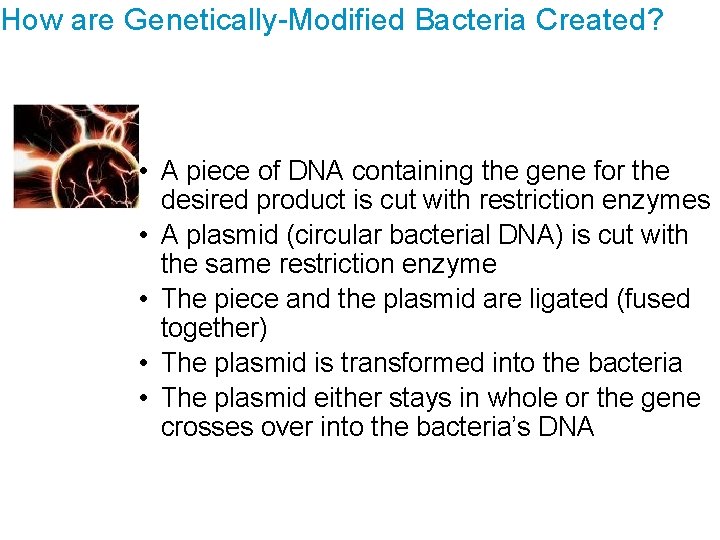 How are Genetically-Modified Bacteria Created? • A piece of DNA containing the gene for
