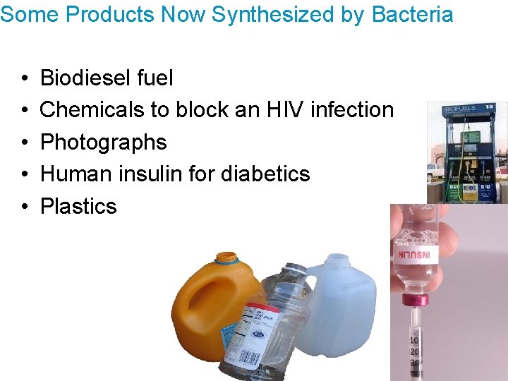 Some Products Now Synthesized by Bacteria • • • Biodiesel fuel Chemicals to block
