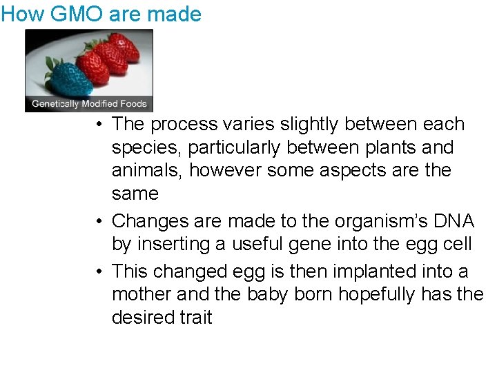 How GMO are made • The process varies slightly between each species, particularly between