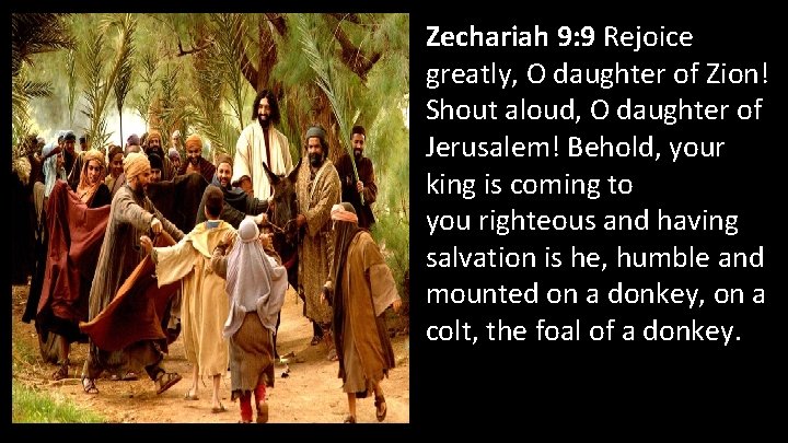 Zechariah 9: 9 Rejoice greatly, O daughter of Zion! Shout aloud, O daughter of