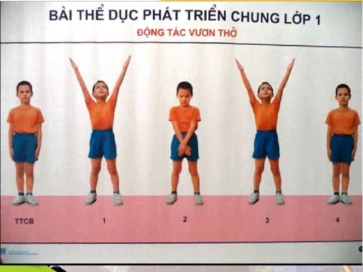 BÀI THỂ DỤC PHÁT TRIỂN CHUNG 5 