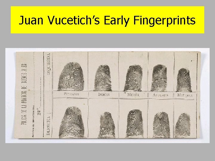 Juan Vucetich’s Early Fingerprints 