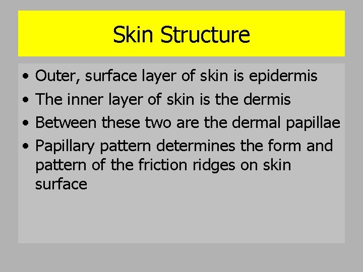 Skin Structure • • Outer, surface layer of skin is epidermis The inner layer
