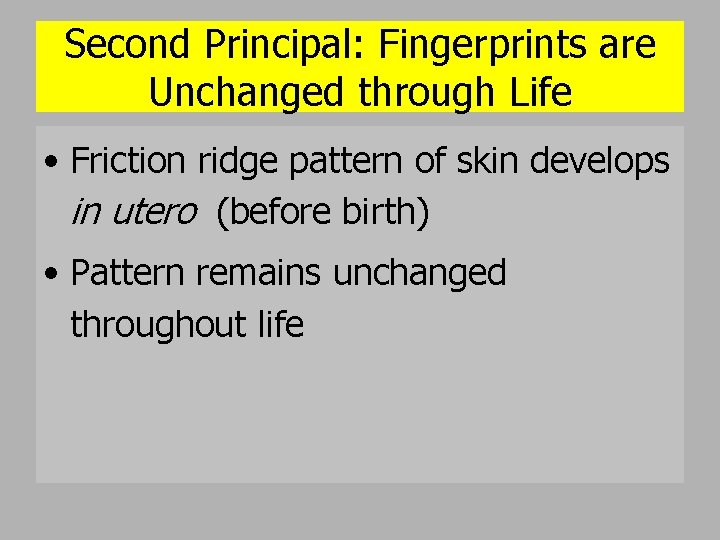 Second Principal: Fingerprints are Unchanged through Life • Friction ridge pattern of skin develops