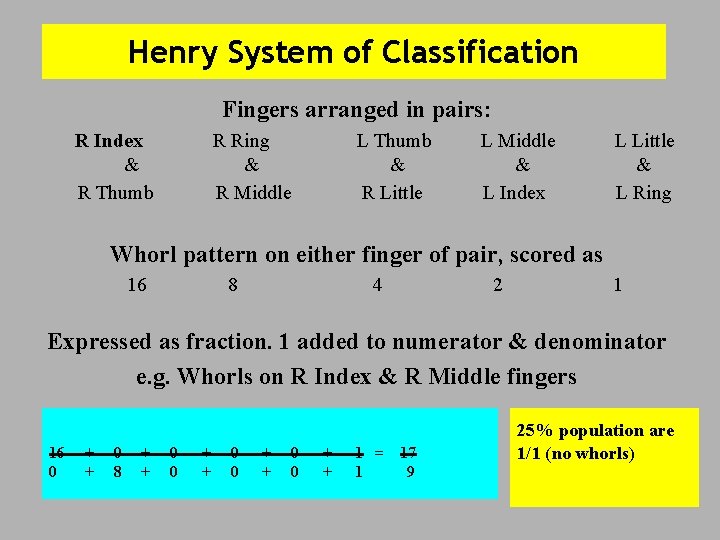 Henry System of Classification Fingers arranged in pairs: R Index & R Thumb R
