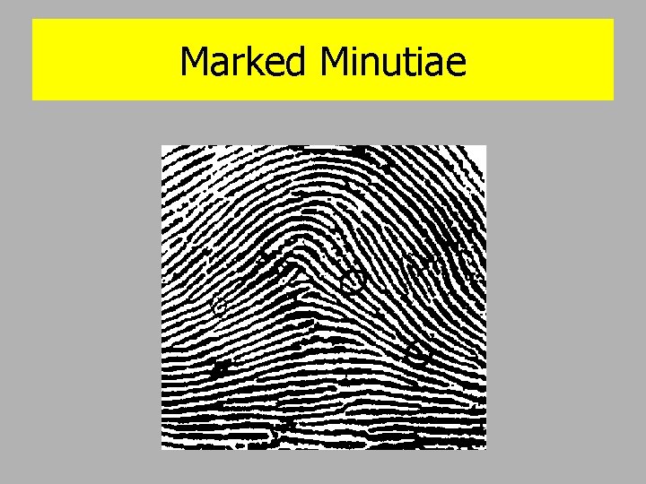 Marked Minutiae 