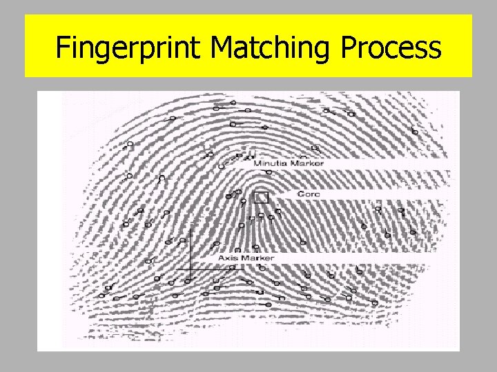 Fingerprint Matching Process 