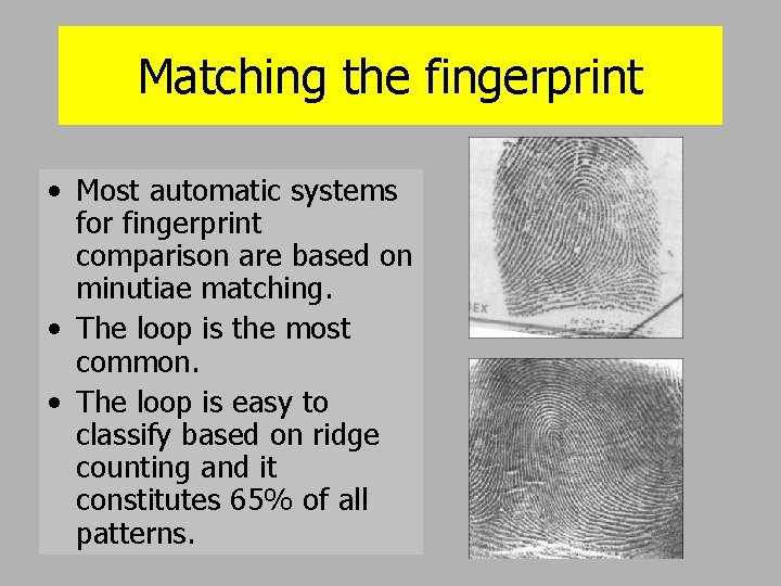 Matching the fingerprint • Most automatic systems for fingerprint comparison are based on minutiae