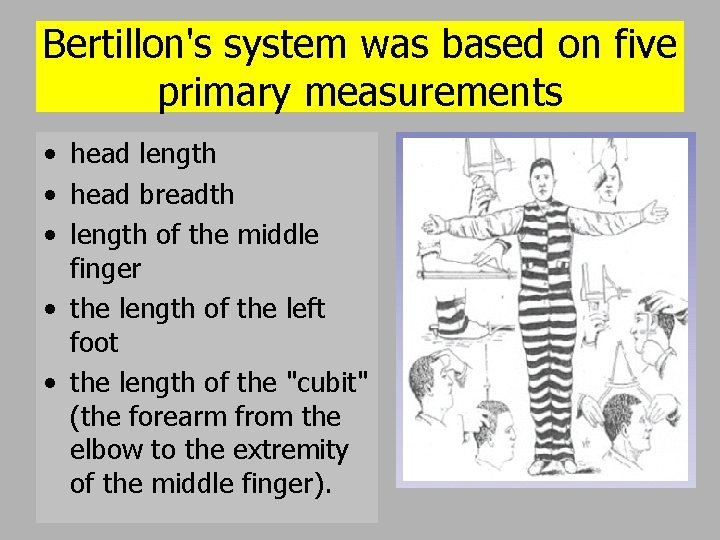 Bertillon's system was based on five primary measurements • head length • head breadth