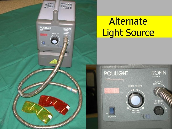 Alternate Light Source 