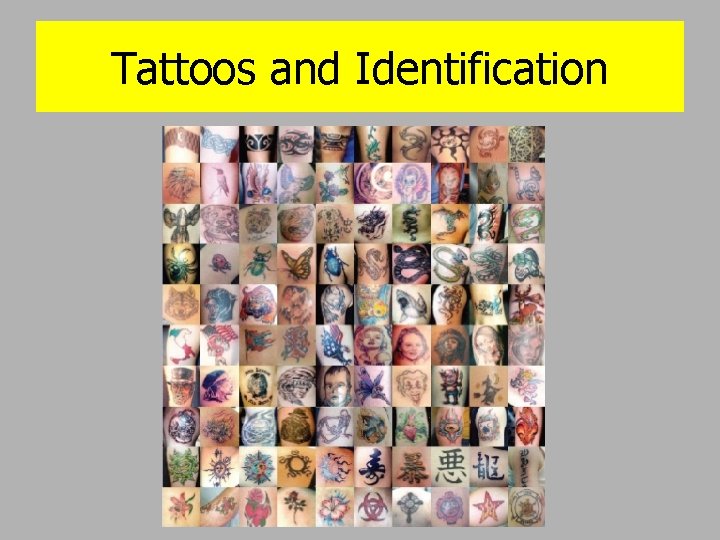 Tattoos and Identification 