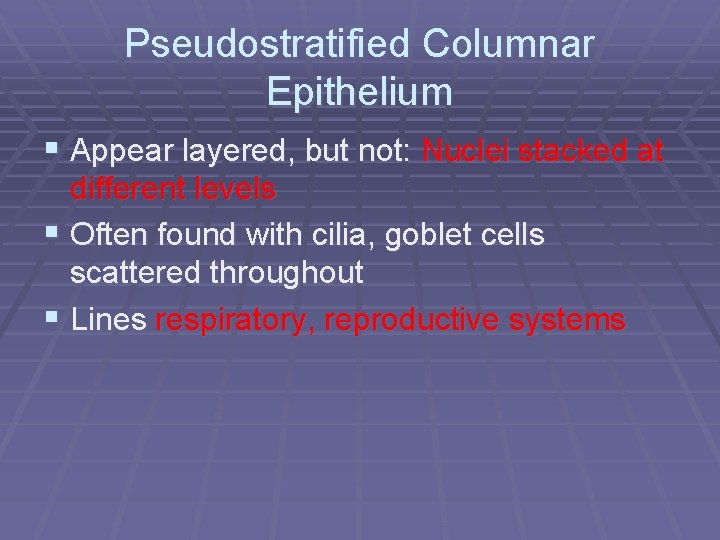 Pseudostratified Columnar Epithelium § Appear layered, but not: Nuclei stacked at different levels §