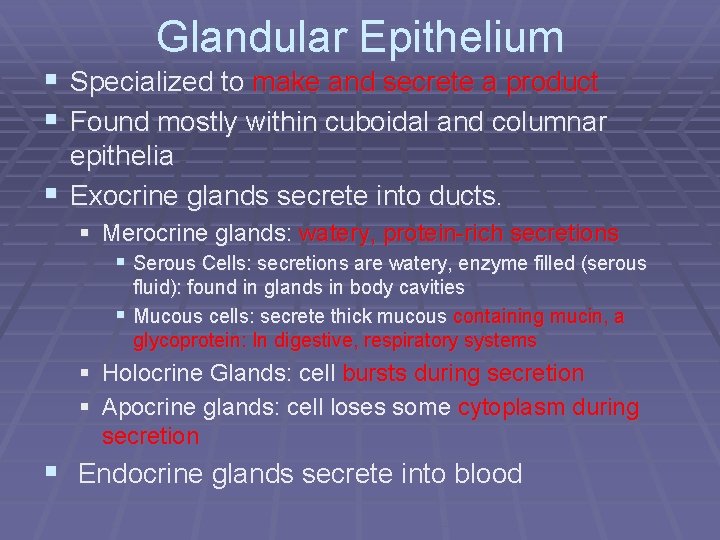 Glandular Epithelium § Specialized to make and secrete a product § Found mostly within