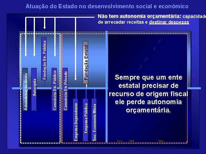 Soc. Economia Mista Empresa Pública Empresa Dependente Organização Social Fundação Estatal Consórcio Dir. Privado