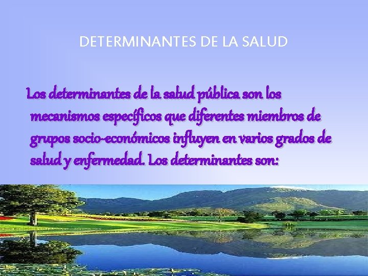 DETERMINANTES DE LA SALUD Los determinantes de la salud pública son los mecanismos específicos