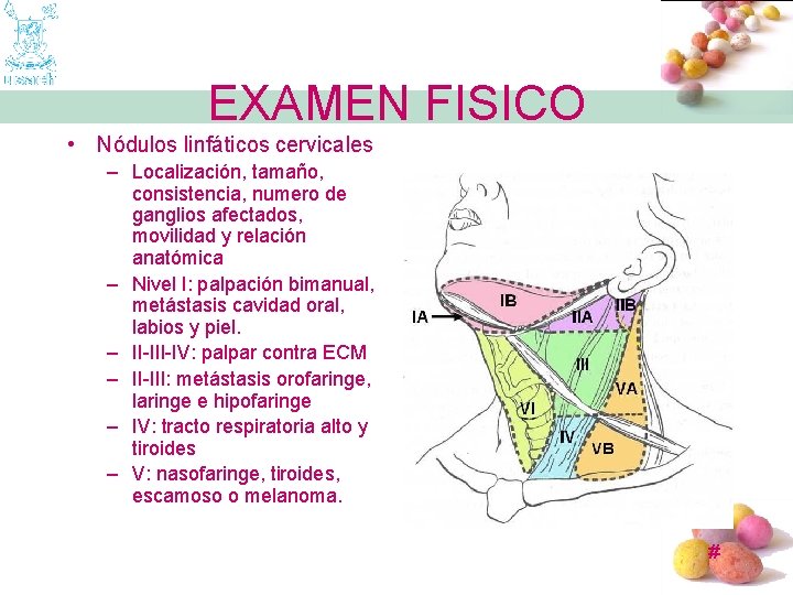 EXAMEN FISICO • Nódulos linfáticos cervicales – Localización, tamaño, consistencia, numero de ganglios afectados,