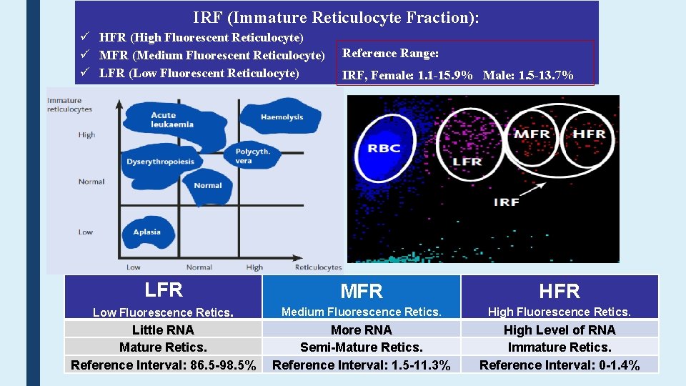 IRF (Immature Reticulocyte Fraction): HFR (High Fluorescent Reticulocyte) MFR (Medium Fluorescent Reticulocyte) LFR (Low