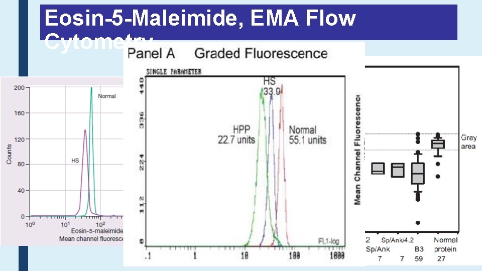 Eosin-5 -Maleimide, EMA Flow Cytometry 