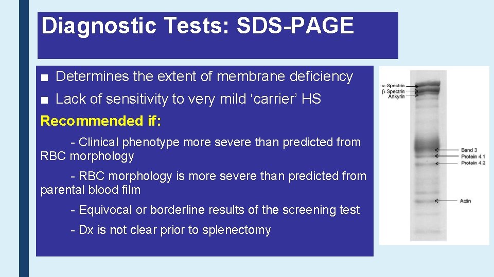 Diagnostic Tests: SDS-PAGE ■ Determines the extent of membrane deficiency ■ Lack of sensitivity