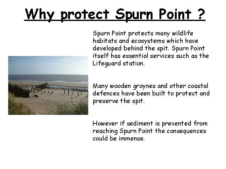 Why protect Spurn Point ? Spurn Point protects many wildlife habitats and ecosystems which