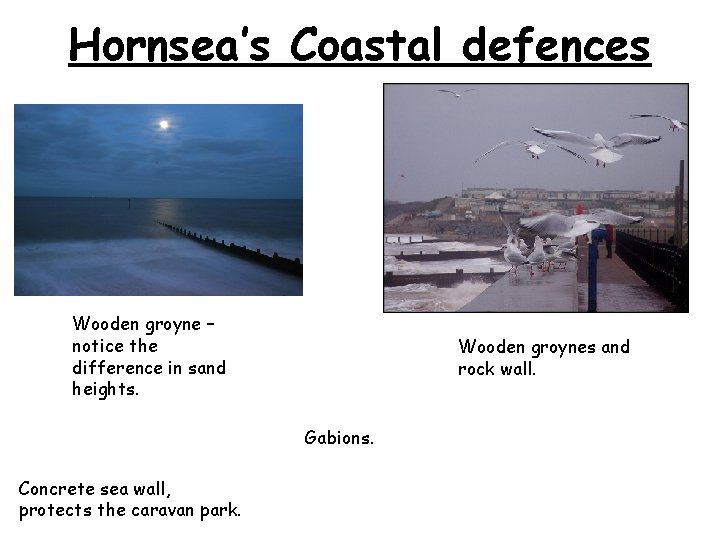 Hornsea’s Coastal defences Wooden groyne – notice the difference in sand heights. Wooden groynes