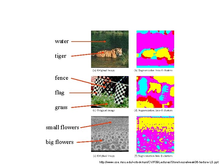 water tiger fence flag grass small flowers big flowers http: //www. cse. msu. edu/~stockman/CV/F