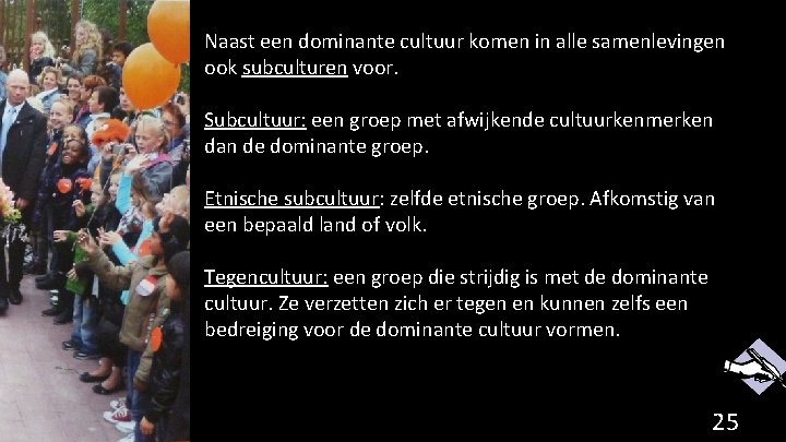 Naast een dominante cultuur komen in alle samenlevingen ook subculturen voor. Subcultuur: een groep