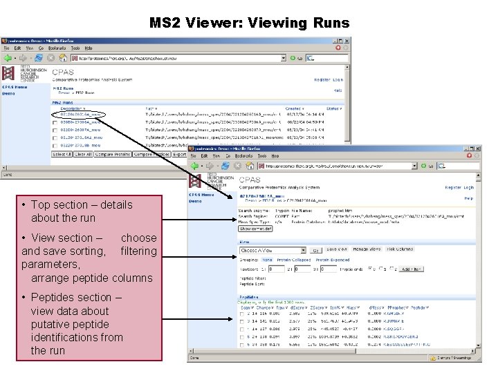 MS 2 Viewer: Viewing Runs • Top section – details about the run •