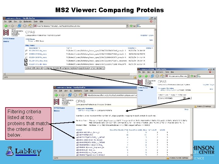 MS 2 Viewer: Comparing Proteins Filtering criteria listed at top; proteins that match the