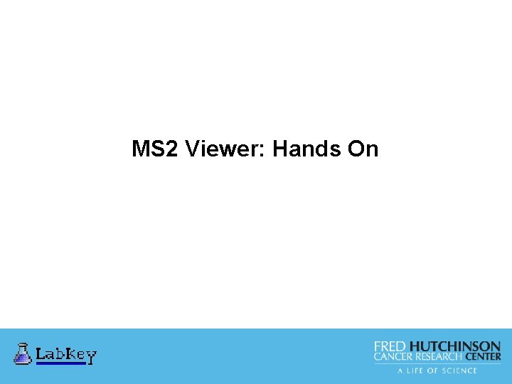 MS 2 Viewer: Hands On 