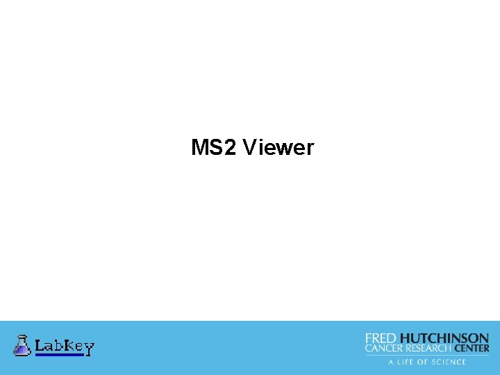 MS 2 Viewer 