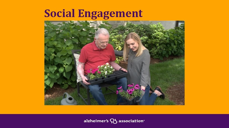 Social Engagement 