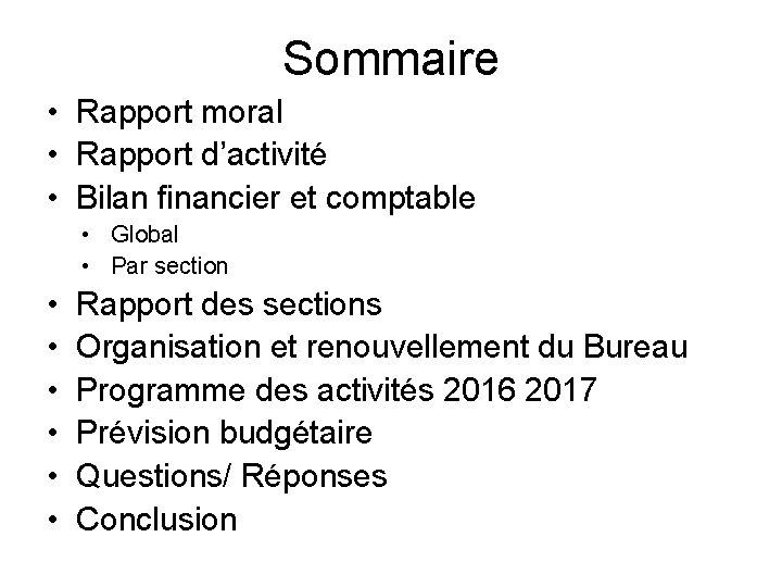 Sommaire • Rapport moral • Rapport d’activité • Bilan financier et comptable • Global