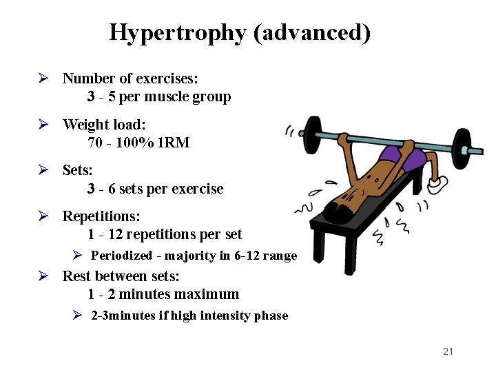 Hypertrophy (advanced) Ø Number of exercises: 3 - 5 per muscle group Ø Weight